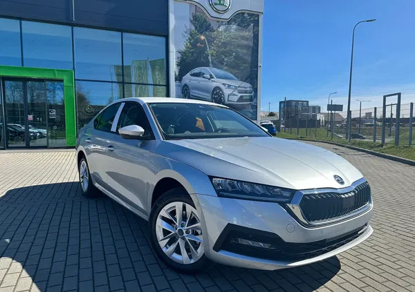 skoda Skoda Octavia cena 113500 przebieg: 10, rok produkcji 2024 z Kłodawa